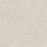 SURFACE ARENA NATURAL 60X120