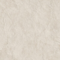 SURFACE ARENA NATURAL 60X120