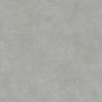 SURFACE SAGE NATURAL 60X120