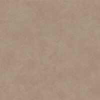 SURFACE SIENA NATURAL 60X120