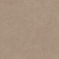 SURFACE SIENA ANTISLIP 60X120