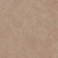 SURFACE SIENA NATURAL 60X120
