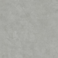 SURFACE SAGE NATURAL 60X60