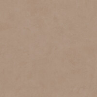 SURFACE SIENA ANTISLIP 80X80