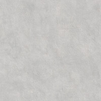 SURFACE CEMENTO NATURAL 81X324