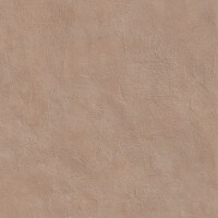SURFACE SIENA NATURAL 81X324