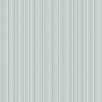 TASOS MENTA RELIEVE 60X120