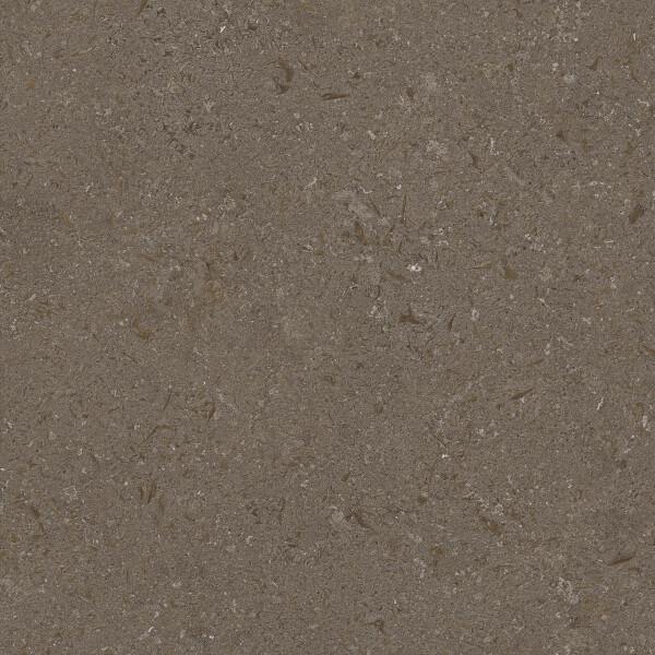 VICENZA BROWN NATURAL 100X300