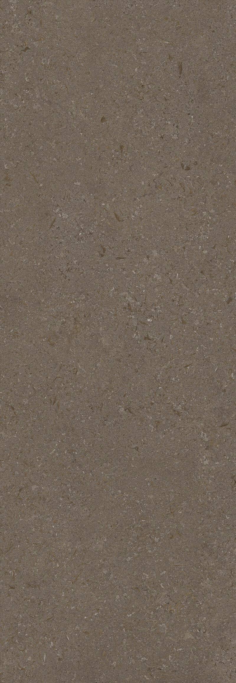 VICENZA BROWN NATURAL 100X300