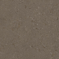 VICENZA BROWN NATURAL 100X300