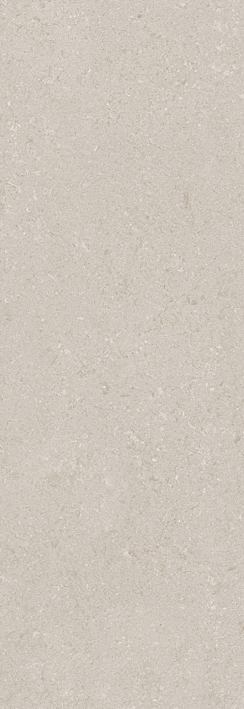VICENZA GREY NATURAL 100X300