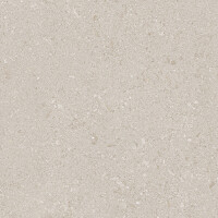 VICENZA GREY NATURAL 100X300