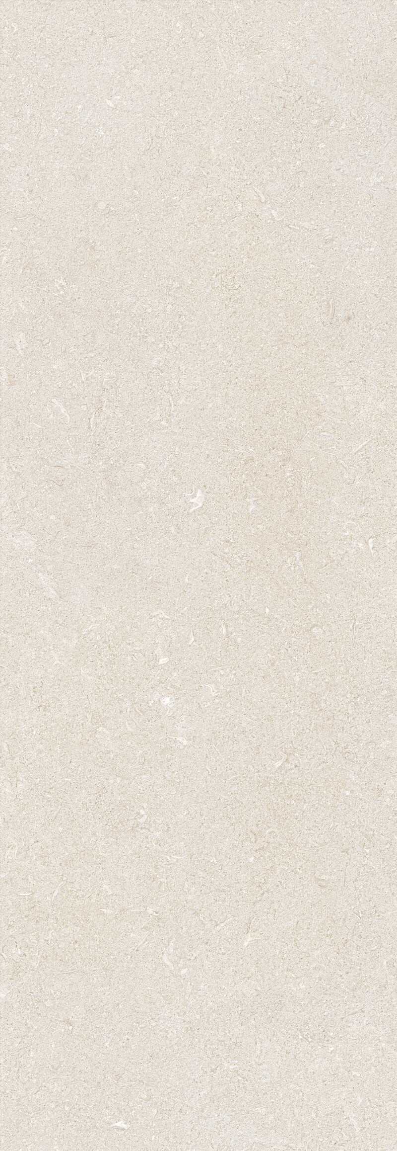 VICENZA IVORY NATURAL 100X300