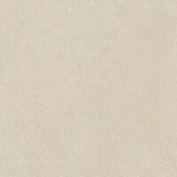 VICENZA ANTICA BEIGE SEDA 120X120
