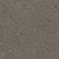 VICENZA ANTICA BROWN SEDA 60X120