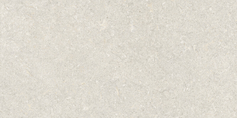 VICENZA ANTICA IVORY SEDA 60X120