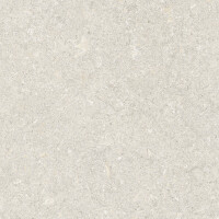 VICENZA ANTICA IVORY SEDA 60X120