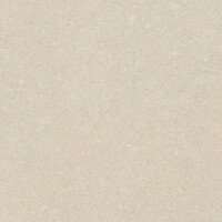 VICENZA ANTICA BEIGE SEDA 80X80
