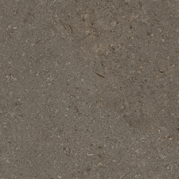 VICENZA ANTICA BROWN NATURAL 80X80