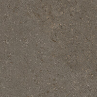 VICENZA ANTICA BROWN NATURAL 80X80