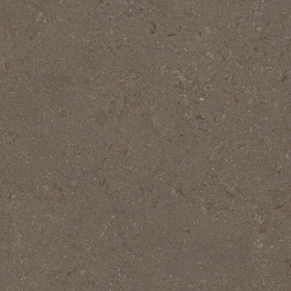 VICENZA BROWN NATURAL 120X278