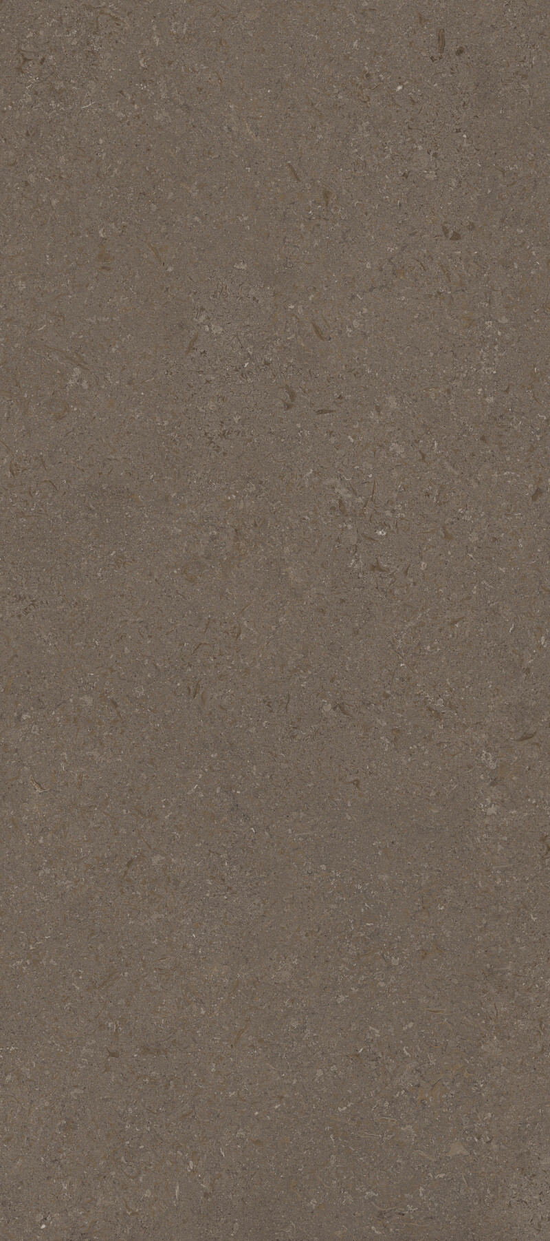 VICENZA BROWN NATURAL 120X278