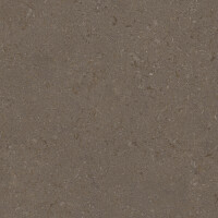 VICENZA BROWN NATURAL 120X278