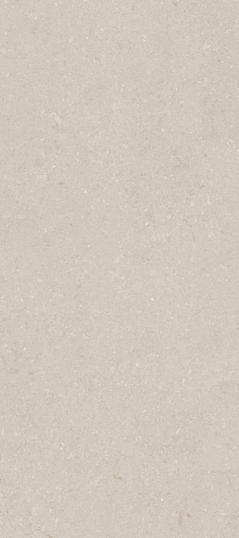 VICENZA GREY NATURAL 120X278