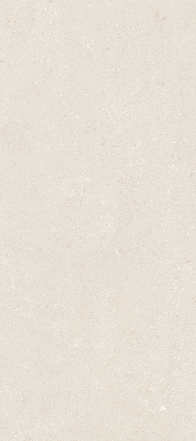VICENZA IVORY NATURAL 120X278