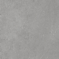 VILLAGE GREY NATURAL 60X60