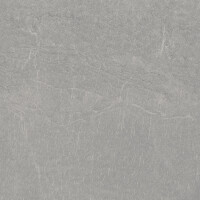 VOLGA GRIS NATURAL 60X120